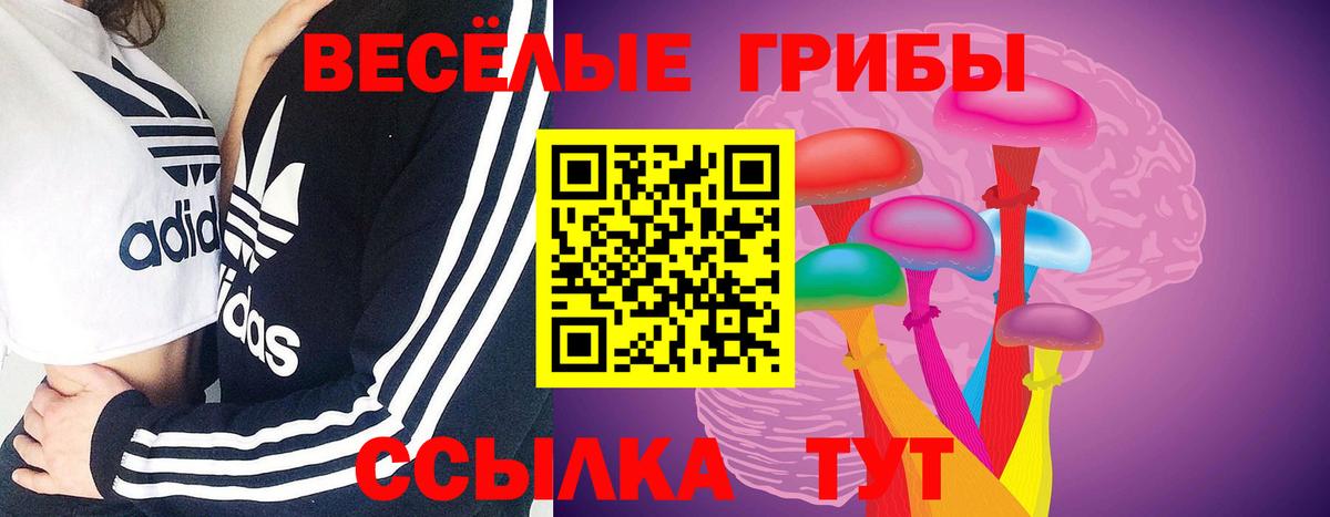 Звенигород  Галлюциногенные грибы Psilocybine cubensis  Вход с VPN 
